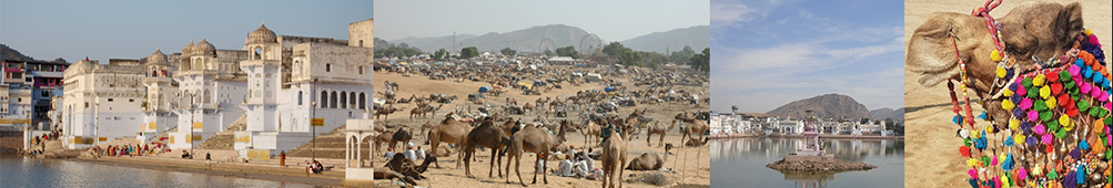 Day excursion to Pushkar